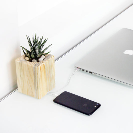 Plant holder with modern cord organizer on minimalist desk setup