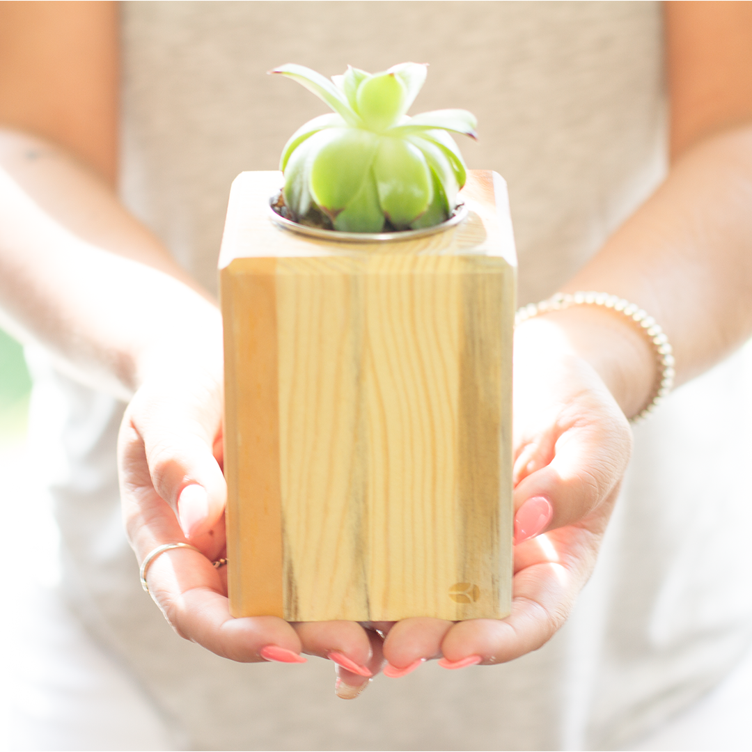 Woman holding the wooden planter with succulent